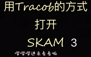 用tracob的方式打开skam3