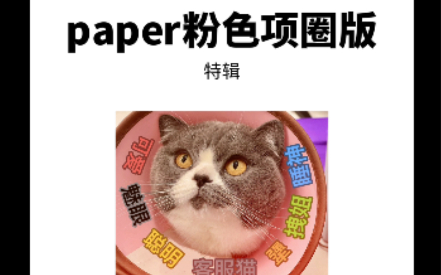 Ace表情包 paper粉色项圈版哔哩哔哩bilibili