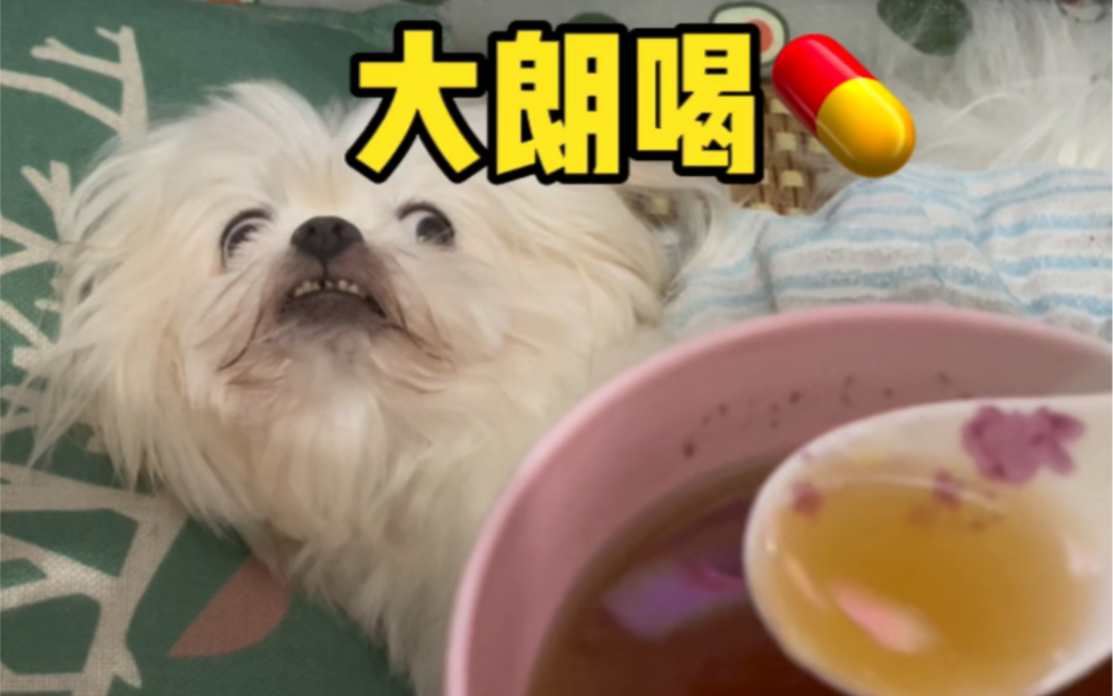 大朗,起来喝药了