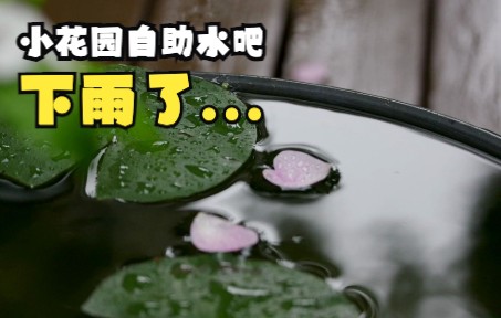 下雨天水吧生意惨淡,但有客人冒雨前来很是感动【小花园自助水吧】哔哩哔哩bilibili