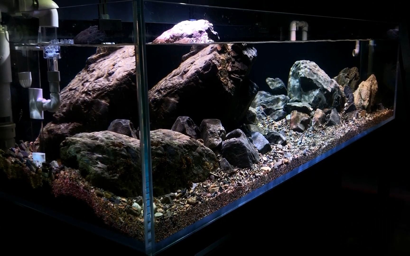 新手看过来,教你如何开一口溪流缸