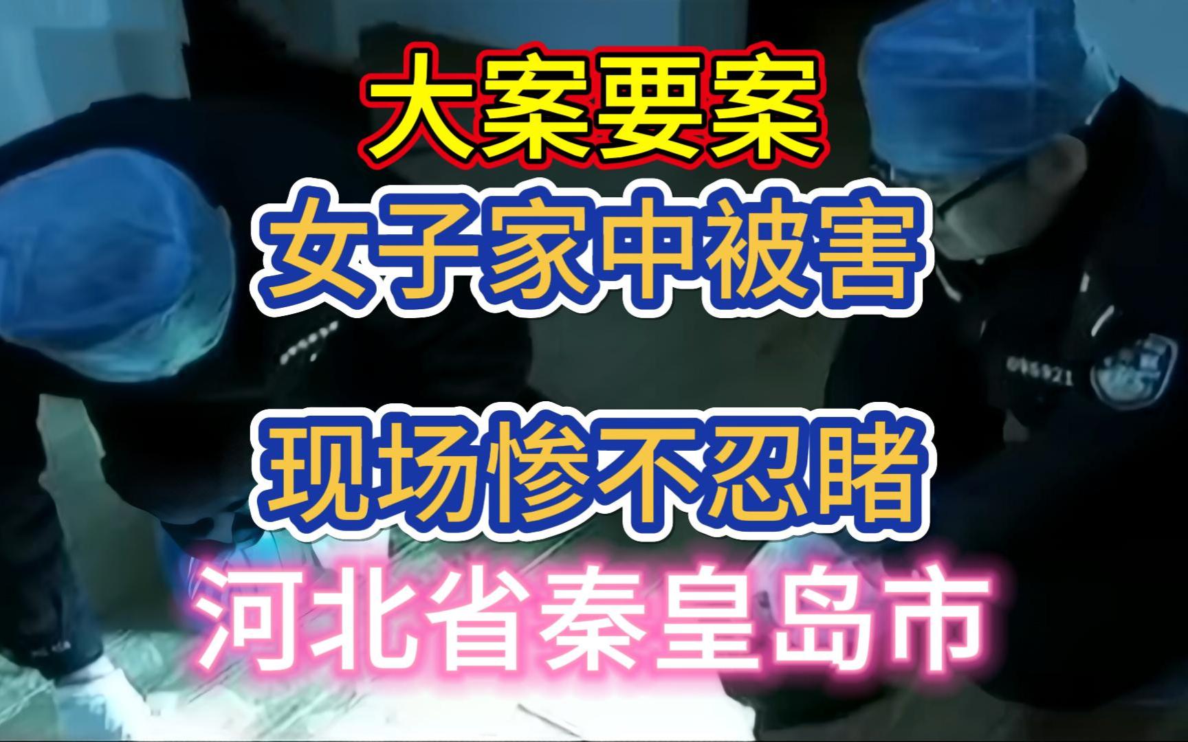 大案要案:女子家中别害,现场惨不忍睹.(河北省秦皇岛市命案)哔哩哔哩bilibili