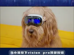 Télécharger la video: 当狗子带上Vision pro！你猜会有什么反应？（二）