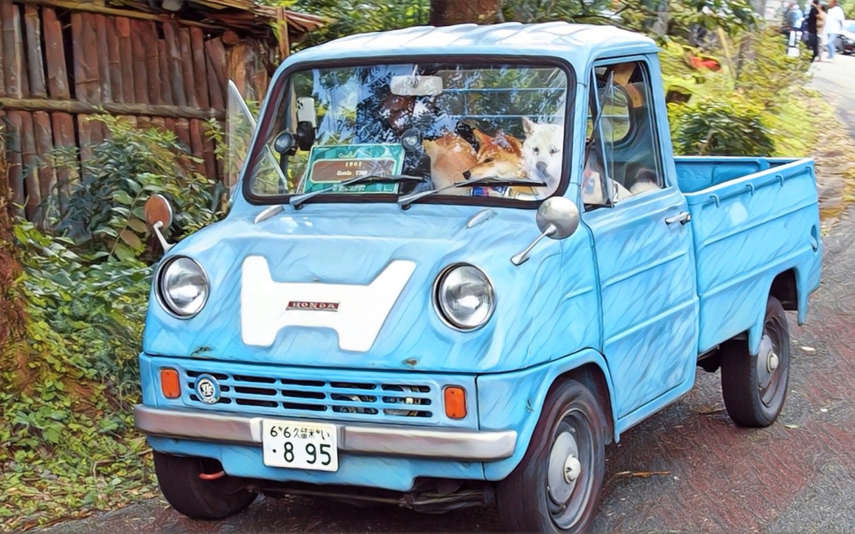 总是和爱犬们一起本田t360honda 360cc yota hachi -s800
