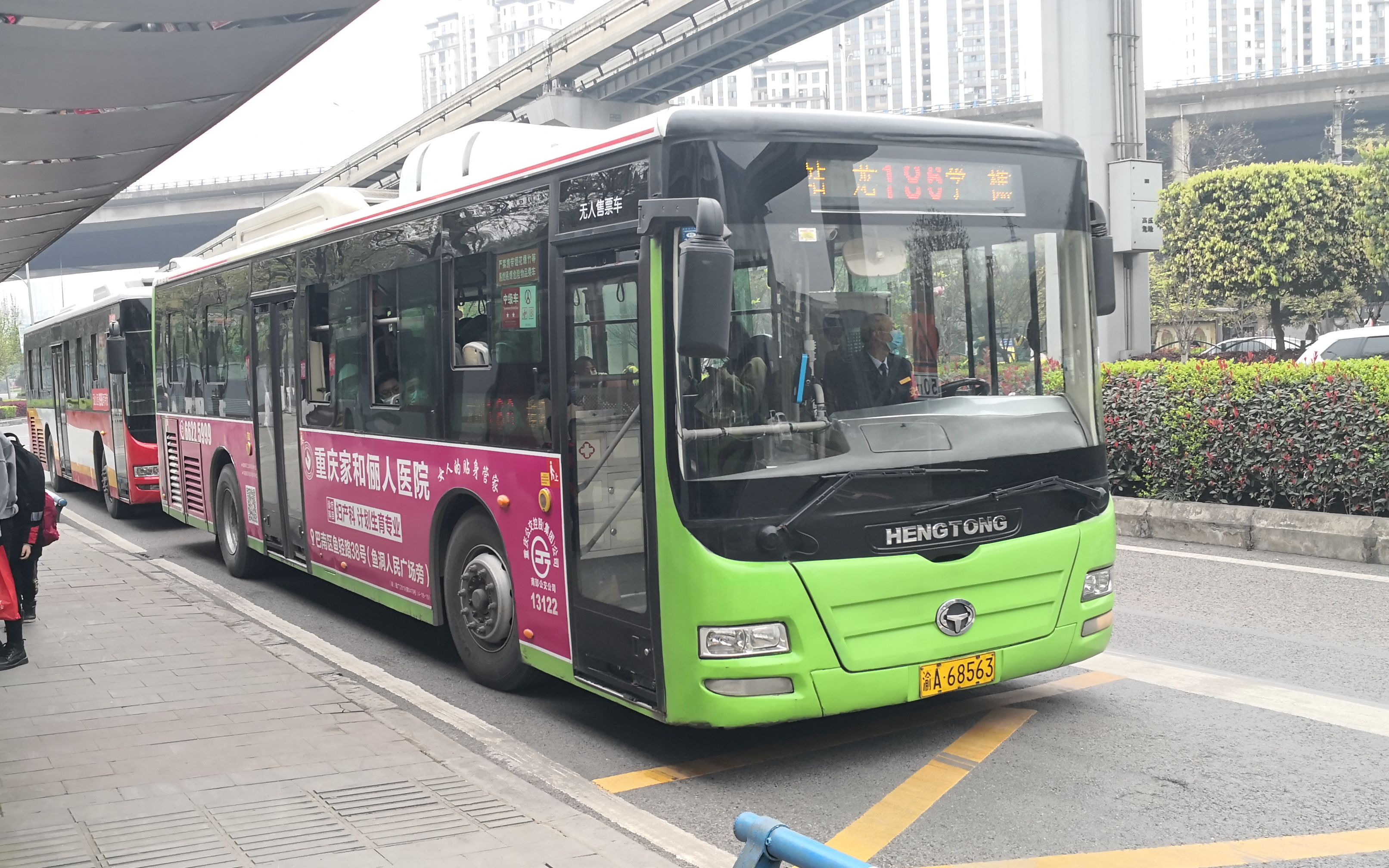 重庆公交 186(龙洲湾枢纽站→樵坪人家小学)