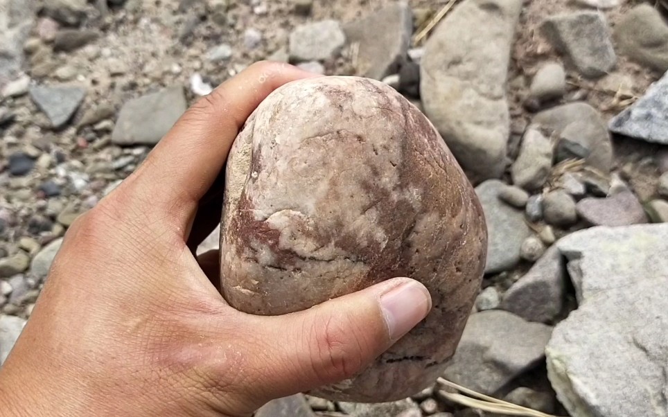 小伙贺兰山里寻石头,看看这石头咋样,值钱吗