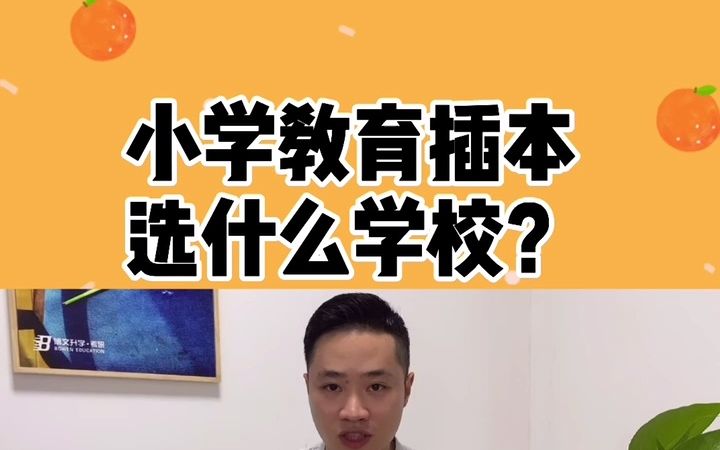 专插本,选小学教育,怎么选性价比高的学校?哔哩哔哩bilibili