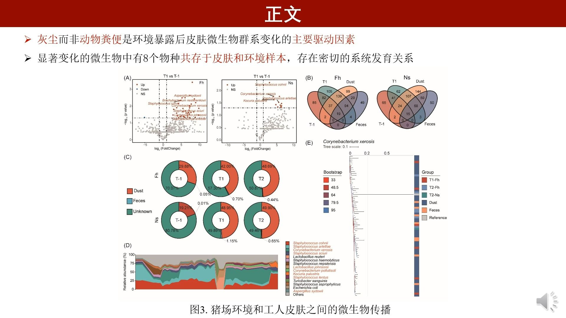 iMeta |华南农业大学孙坚组揭示了猪场日常职业暴露对人皮肤微生物组和耐药组的影响哔哩哔哩bilibili