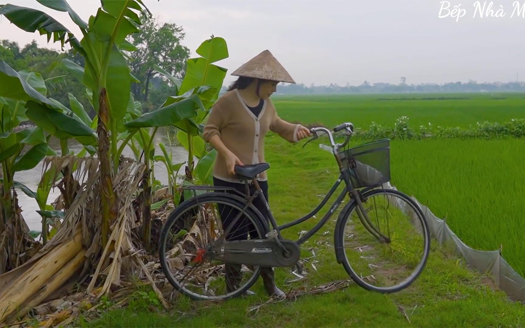 越南经济水平不富裕,为什么居民生活很幸福?看越南农村就明白了