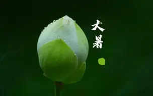 下载视频: 【原创】【微视频】20230723 蝉声起，大暑至。荷香飘远，雨打清梦