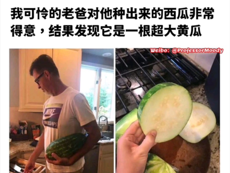 [图]我可怜的老爸对他种出来的西瓜非常得意，结果发现它是一根超大黄瓜