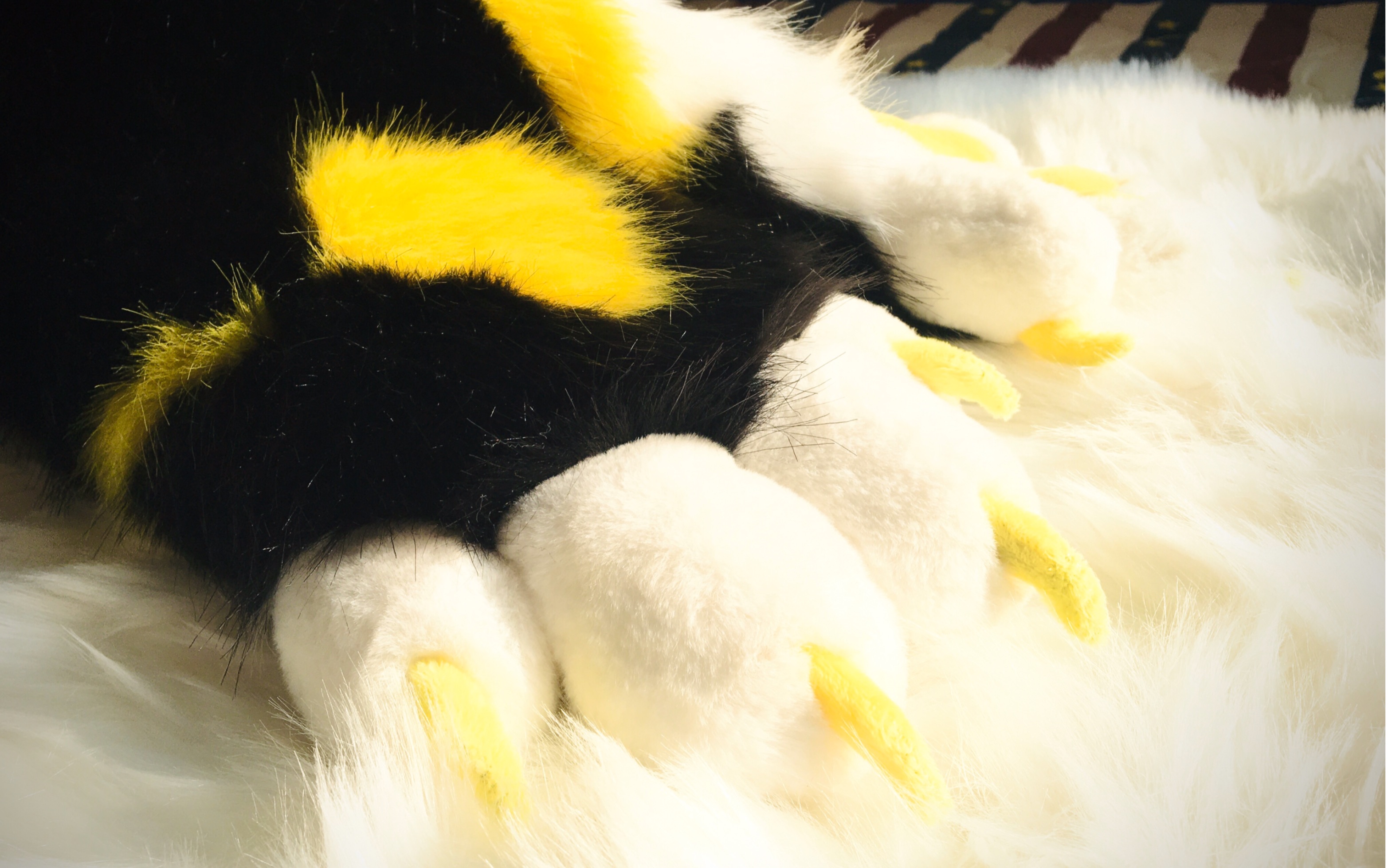 【fursuit/兽爪】兽爪展示(短毛中袖ʕ •ᴥ•ʔ_哔哩哔哩_bilibili
