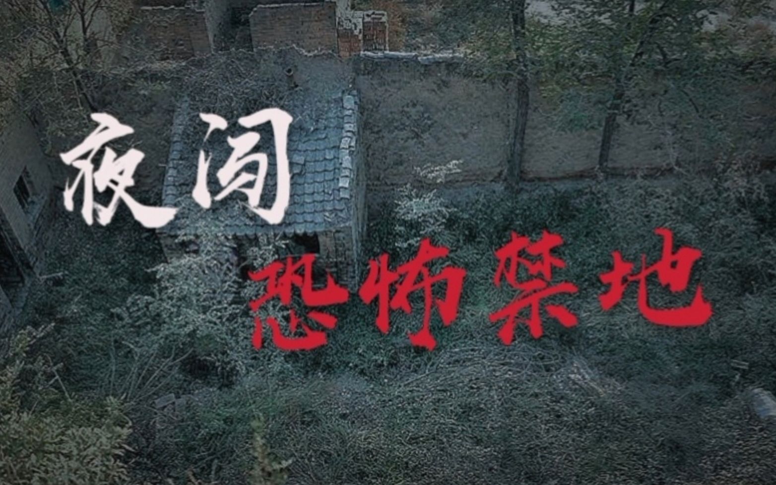 打井挖出半截缸竟被灭门农场变为恐怖禁地