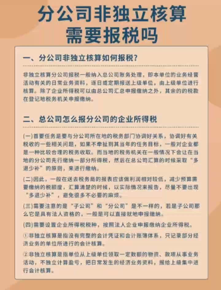 分公司非独立核算需要报税吗哔哩哔哩bilibili