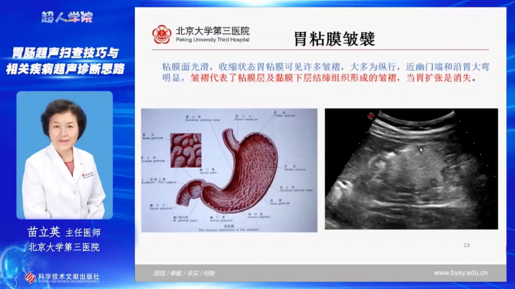 [图]胃肠超声02:胃肠解剖与正常声像图（全套共10集）