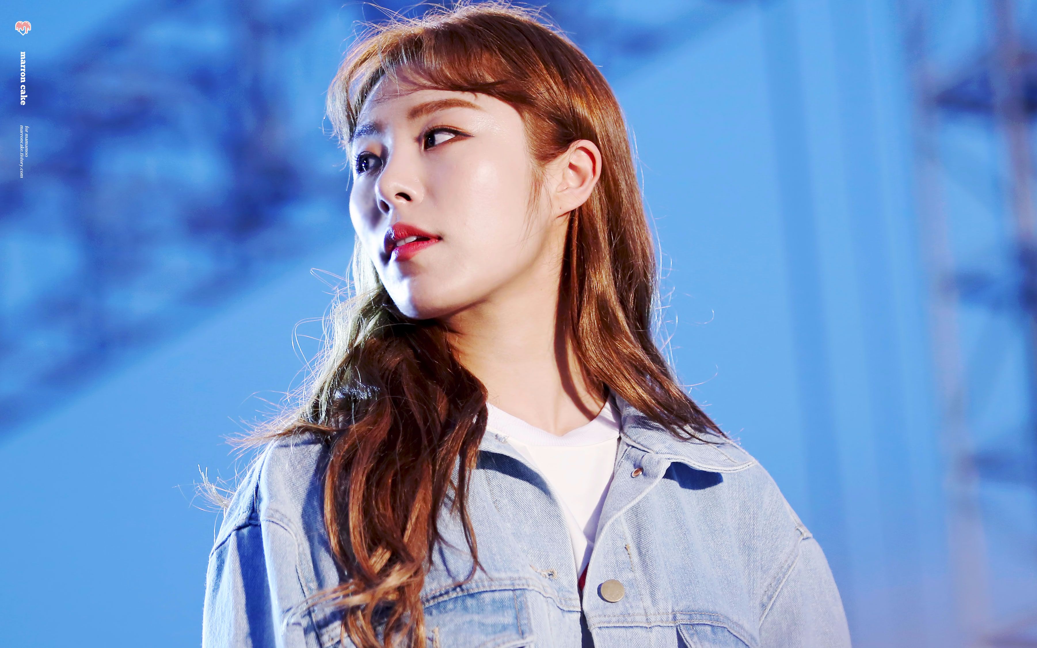 【mamamoo】【wheein】170524 大田大学祝祭 辉人fo