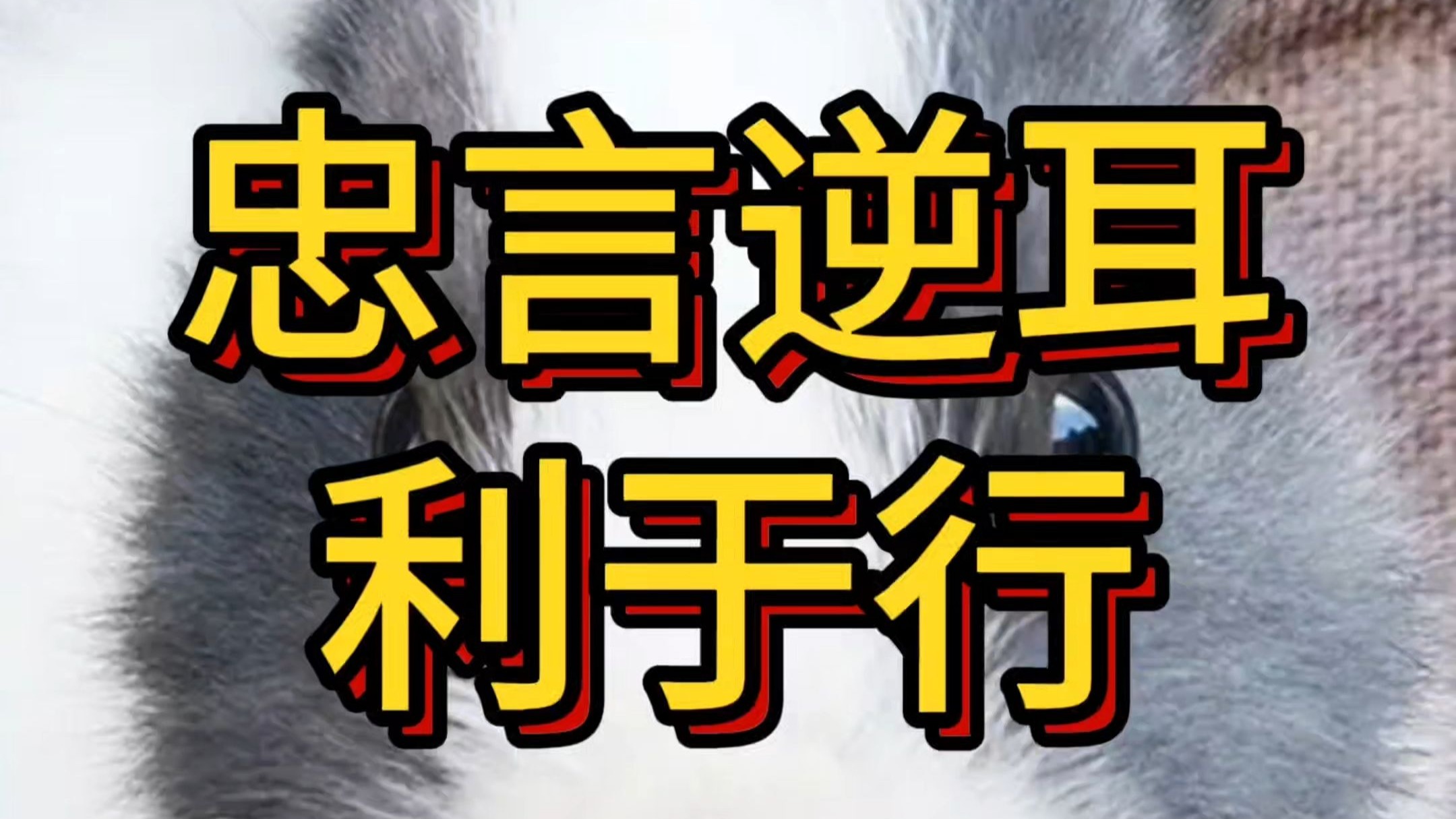 忠言逆耳利于行