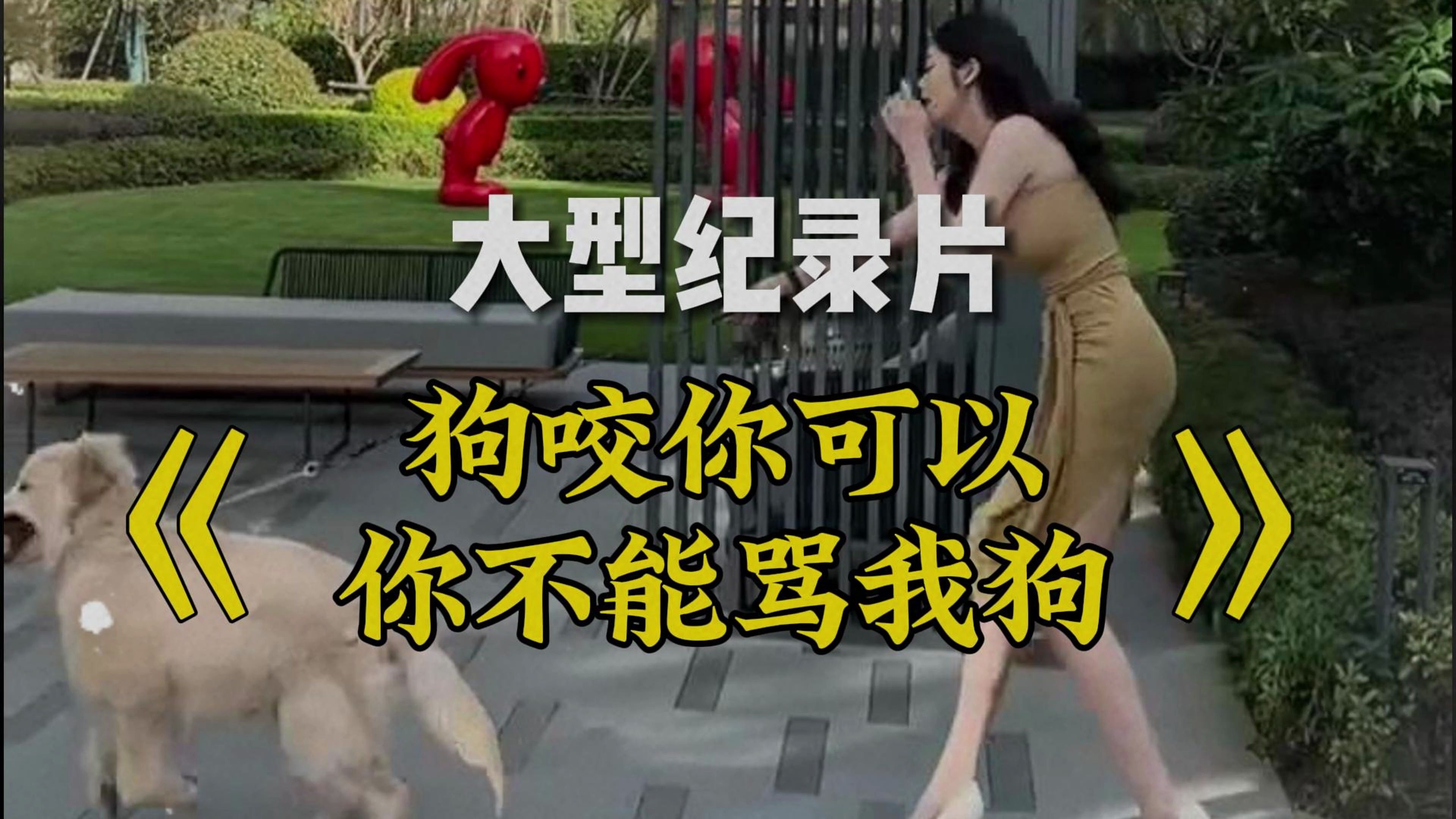 [图]又一T0仙女定律：我的狗可以咬你 但是你不能骂我的狗