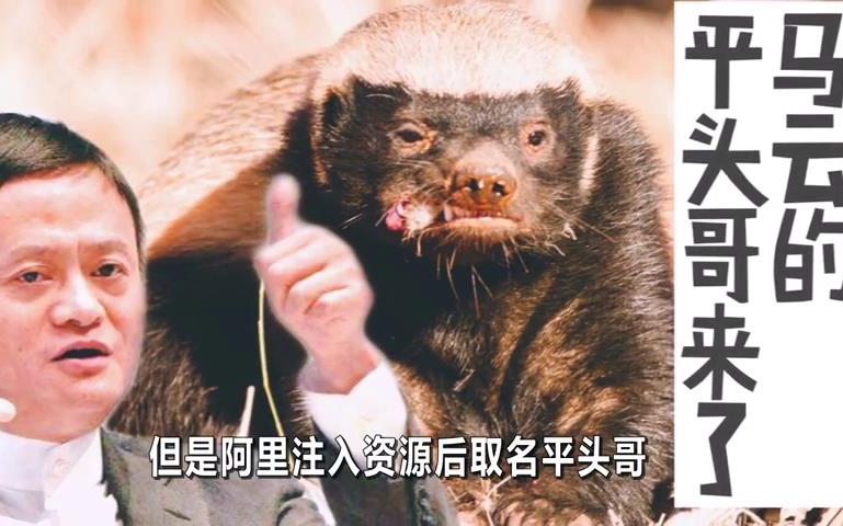 上海传来大消息阿里平头哥玄铁910发布华为再也不怕被卡脖子了