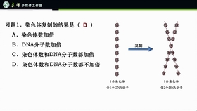 哔哩哔哩