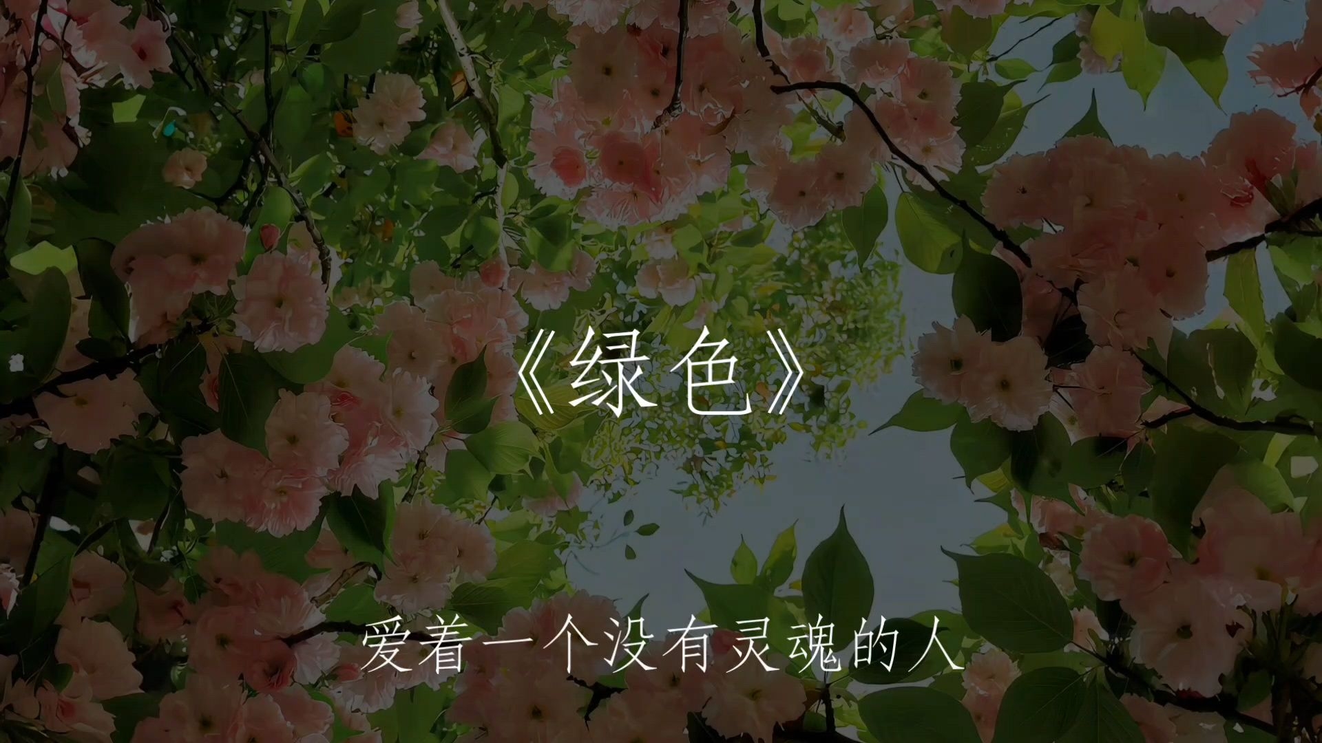 《绿色》陈雪凝 你喜欢这首歌吗