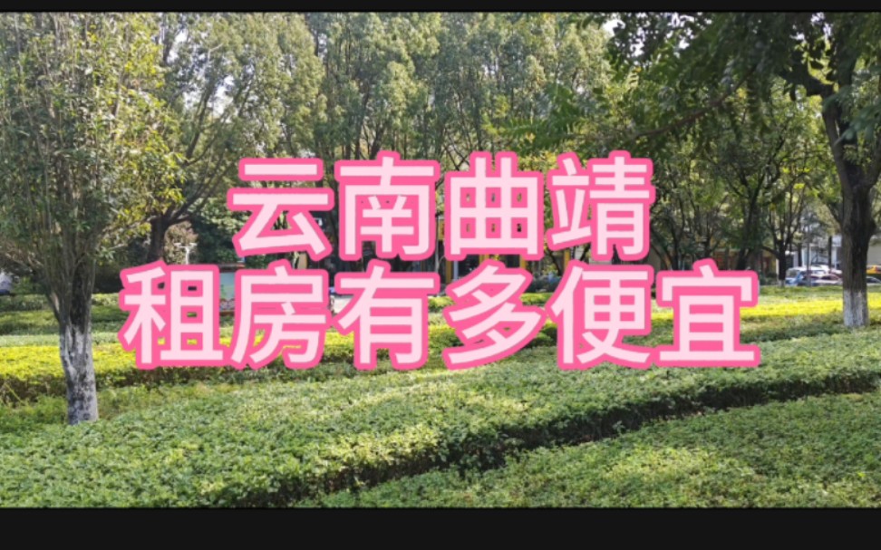 云南曲靖拎包住,这么便宜?哔哩哔哩bilibili