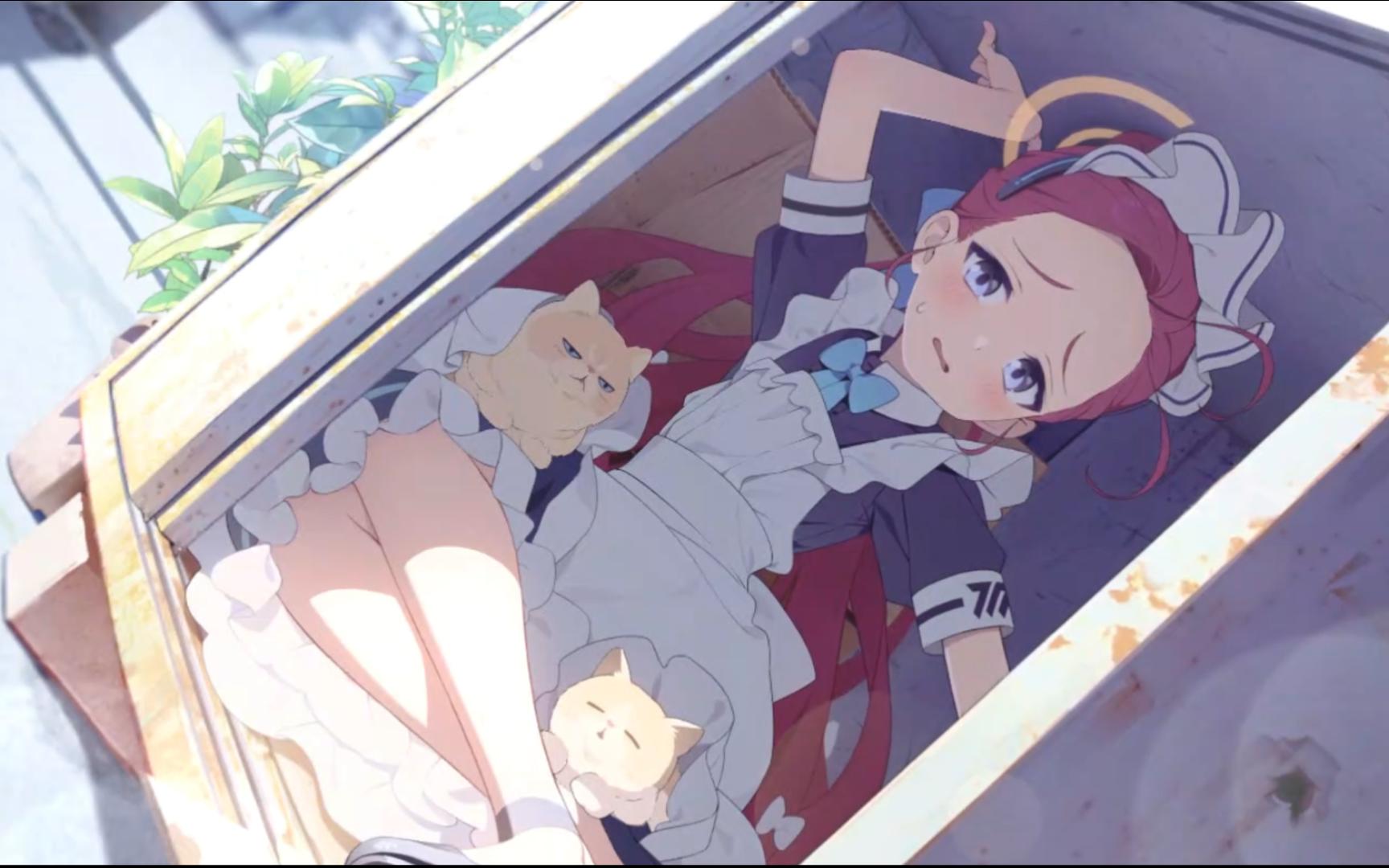 睡在猫窝里的花冈柚子真是可爱呢