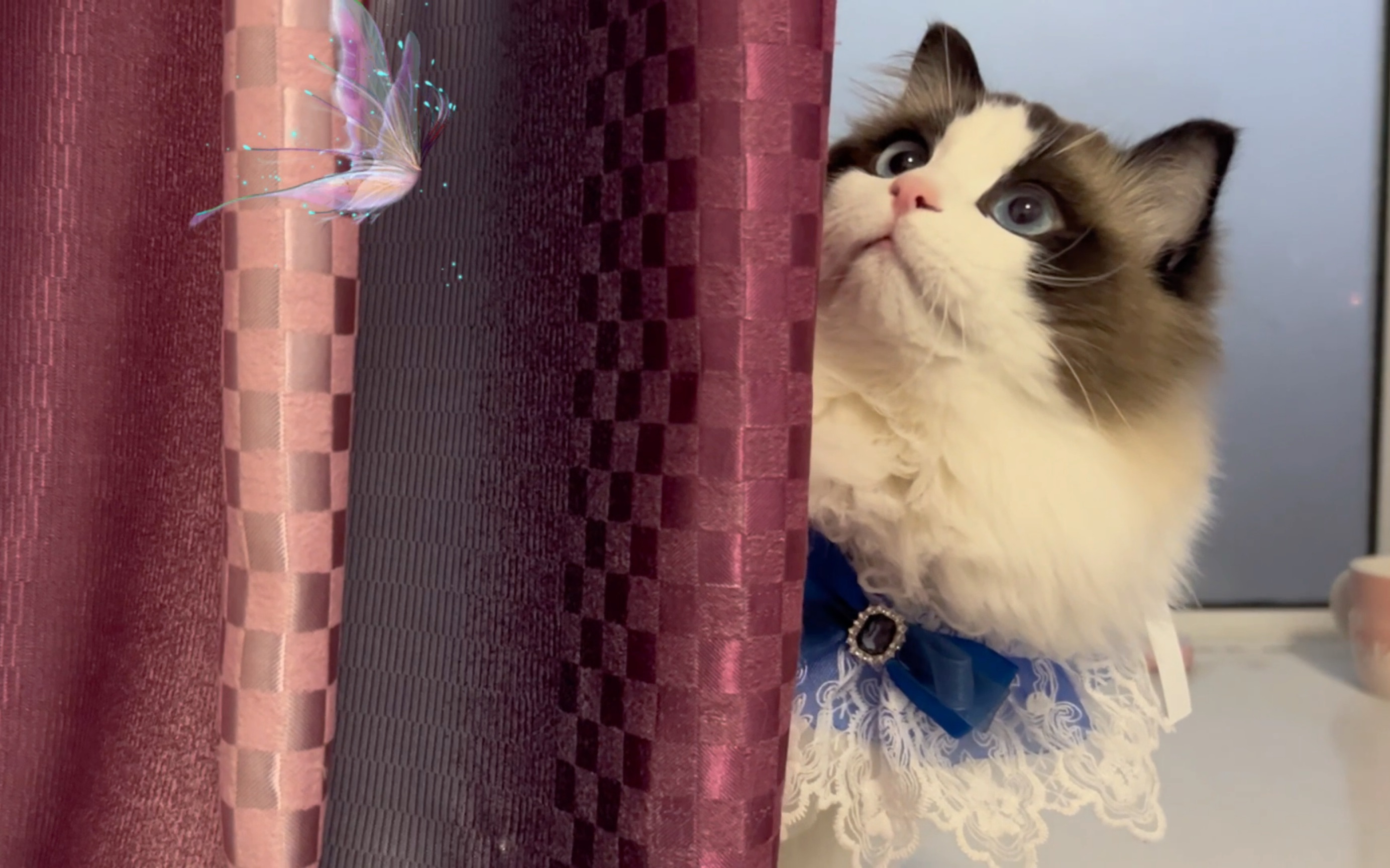 崽崽仰头视角拍照最好看啦