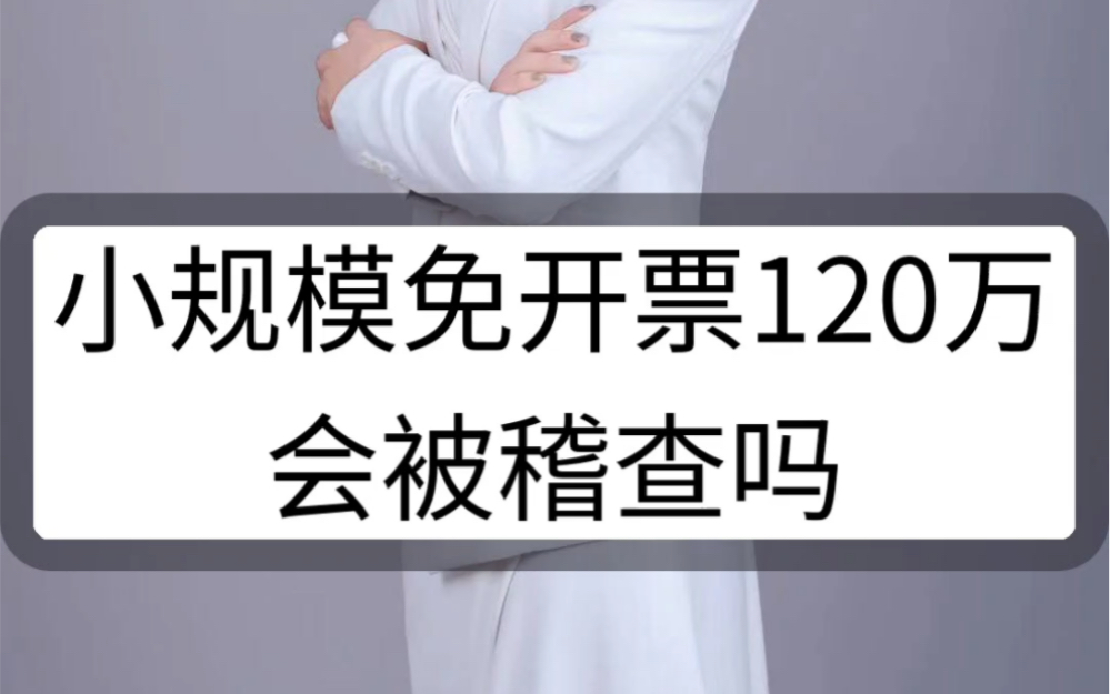 小规模纳税人年累计开票120万以内,你觉得S局会查你吗?#财税知识 #注册公司#代理记账#会理 #会东哔哩哔哩bilibili