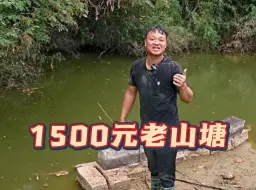 Download Video: 花1500包下大山底下的一口山塘，里面到底会有什么？