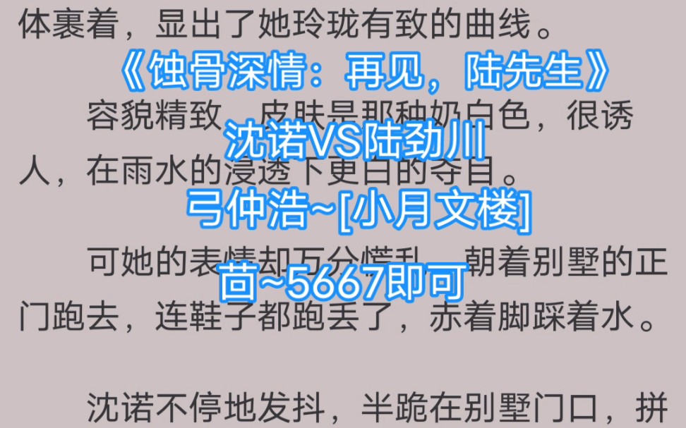 [图]爆款小说《蚀骨深情：再见，陆先生》沈诺陆劲川 推荐全文阅读