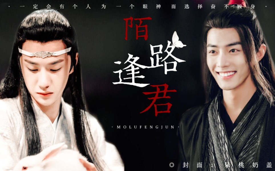 羡忘羡穿越湛重生一发完双洁he陌路逢君