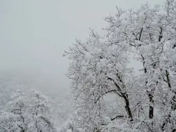 Télécharger la video: 【无版权空镜素材】雪之恋歌，漫天飞舞的柔情