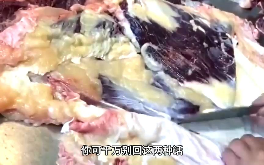 潮汕牛肉火锅食材肥胼分解过程哔哩哔哩bilibili