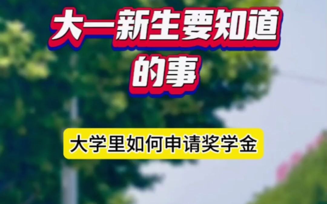 大学里如何申请奖学金,萌新必看,流程来了哔哩哔哩bilibili