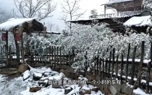 Download Video: 应该是今年最后一场雪了吧，希望瑞雪兆丰年，今年收获满满