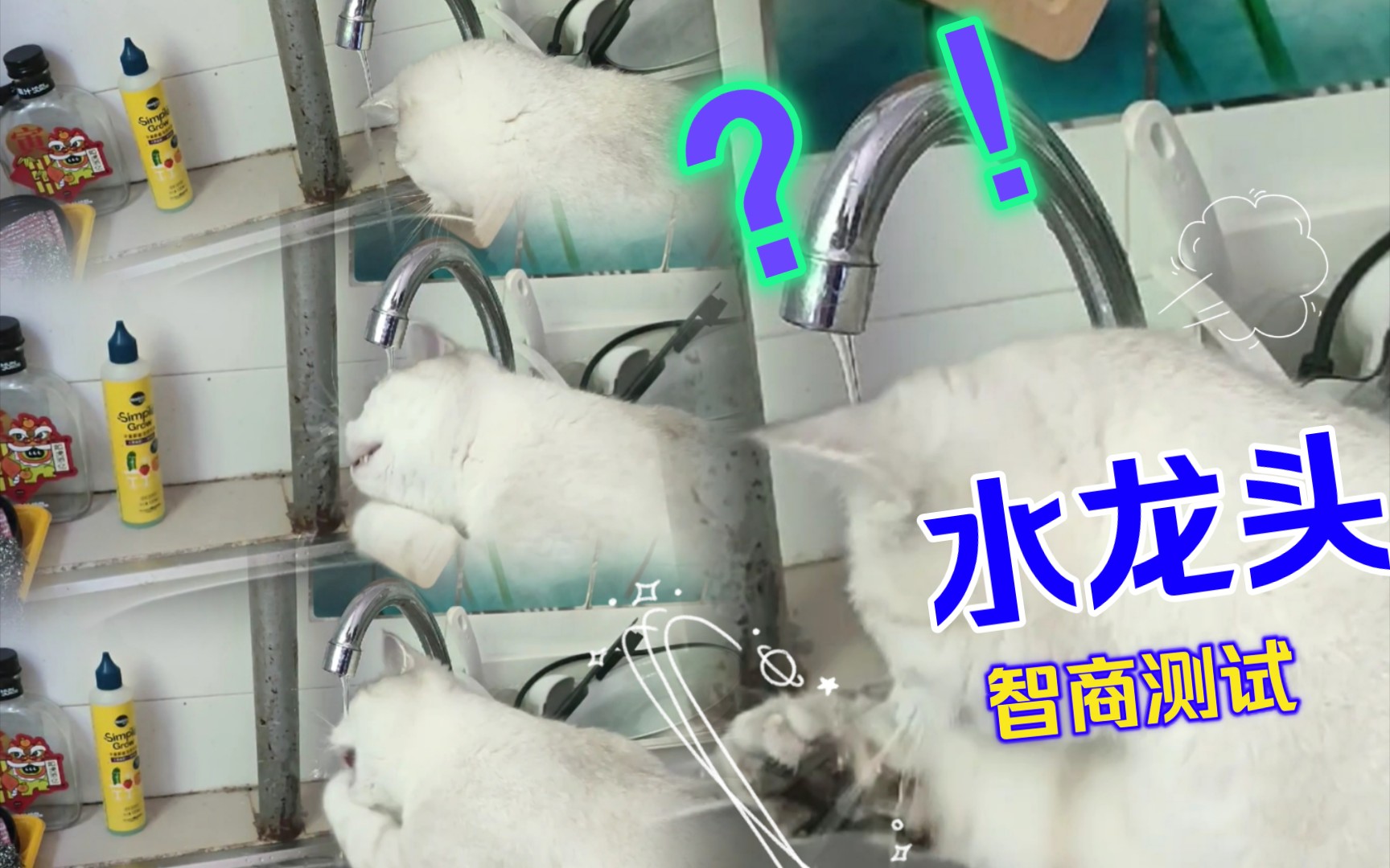 最强大脑水哥个人资料_最强大脑水哥辨水视频_最强大脑王昱珩辨水