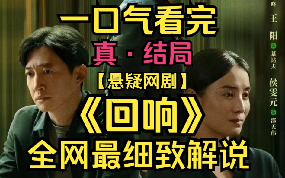 一口气看完迷雾悬疑剧《回响》【完结】!2023最新剧作,全明星出演,结局大反转!哔哩哔哩bilibili