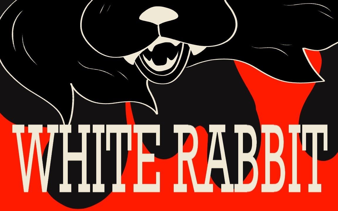 【猫武士】冬青叶  White Rabbit【PMV】哔哩哔哩bilibili