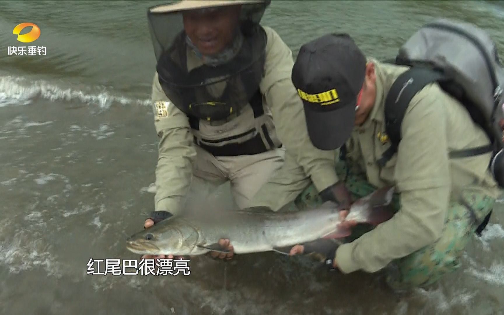 水面饵对战世界最大哲罗鲑《寻找巨物:哲罗鲑篇》哔哩哔哩bilibili