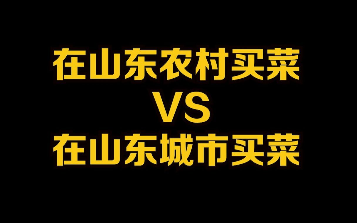 在农村买菜的我:这些都要了,不要找钱啦;在城市买菜的我:可以只要一点点吗?可以抹零吗?哔哩哔哩bilibili