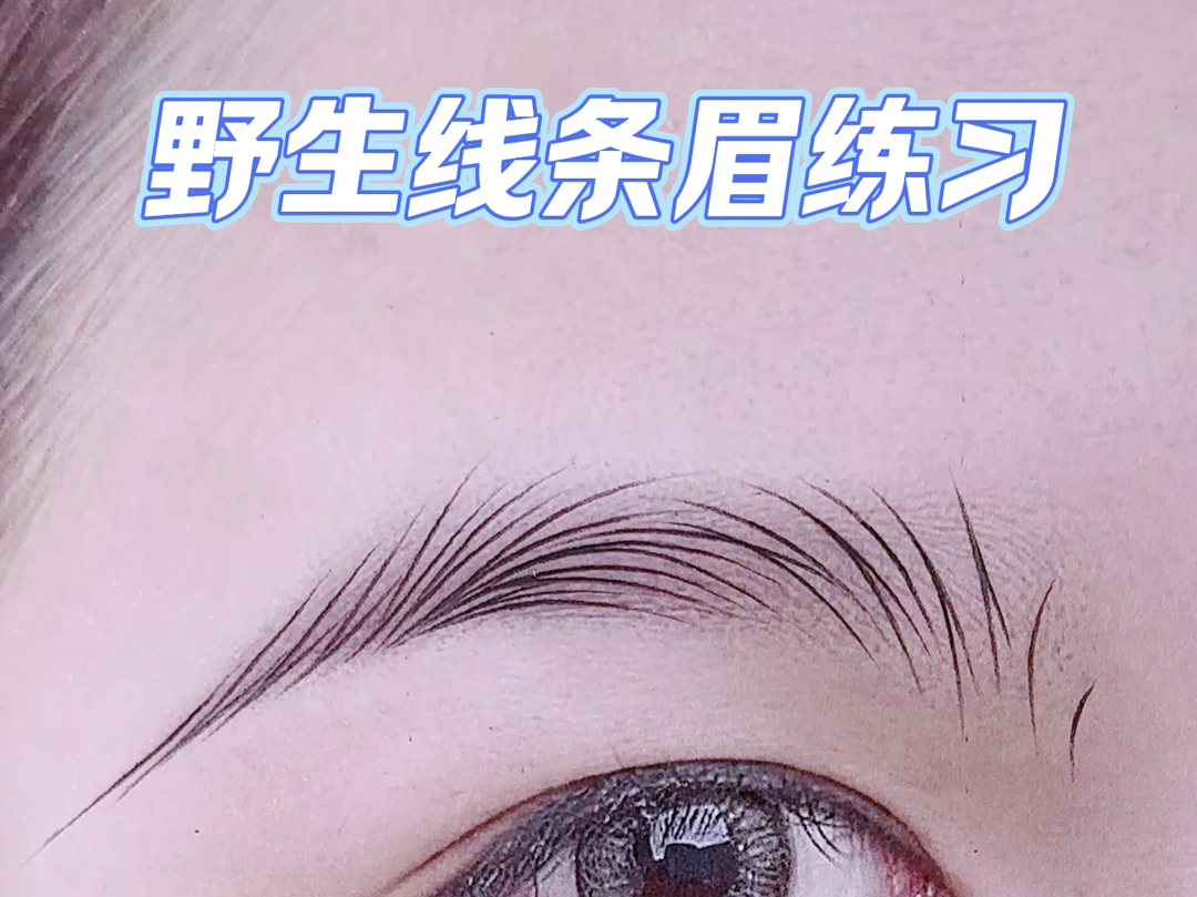 野生线条眉练习