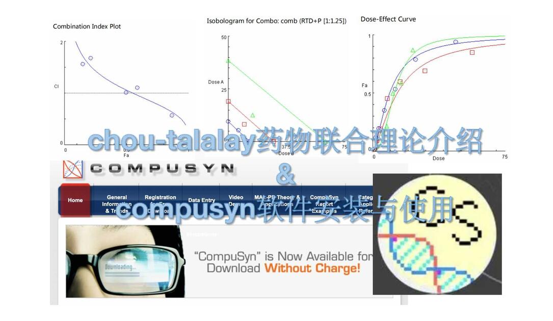 药物联合应用理论介绍/compusyn软件安装与使用/协同拮抗与相加_哔哩哔哩_bilibili