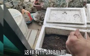 作为一名钓鱼人，你会养蚯蚓吗？今天给大家分享高温天的方法！