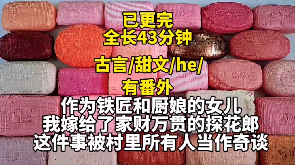 [图]【已更完】古言/有番外/甜文。作为铁匠和厨娘的女儿，我嫁给了家财万贯的探花郎这件事，被村里人当做奇谈。