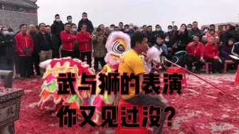 Tải video: 武术与醒狮搭配的表演，弘扬华夏优秀传统文化传承舞狮、醒狮