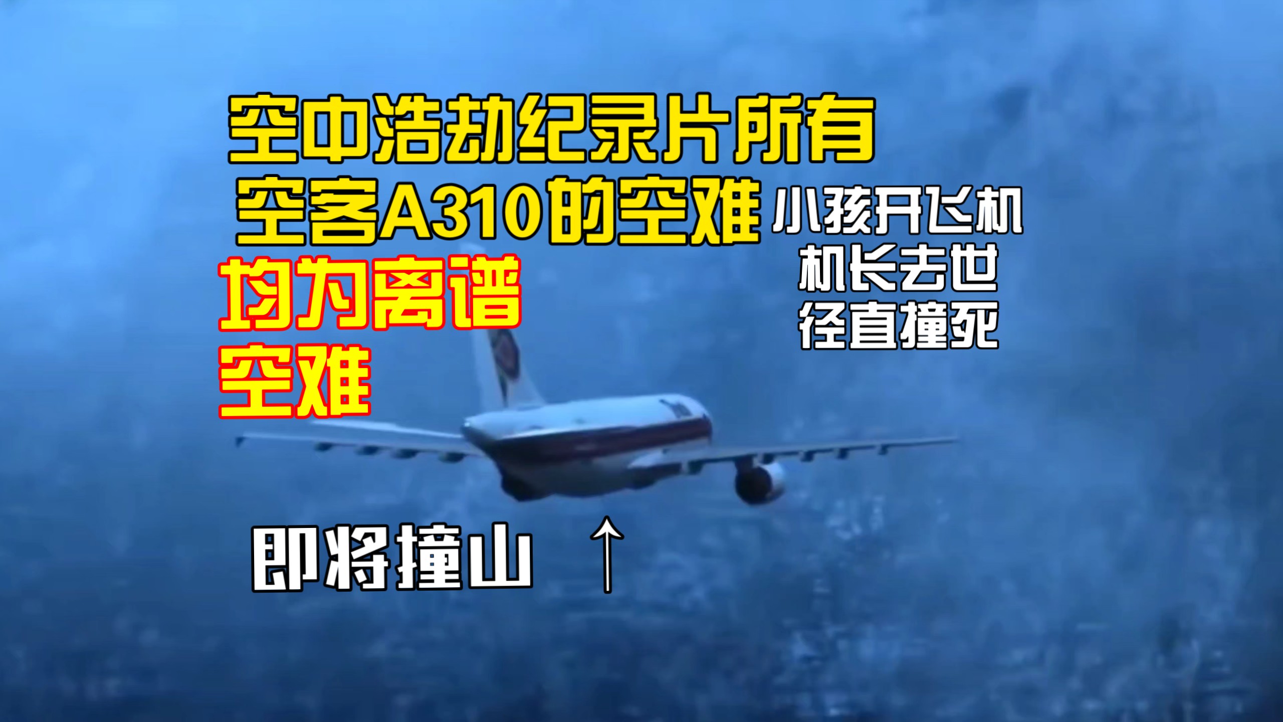 真实空难纪录片