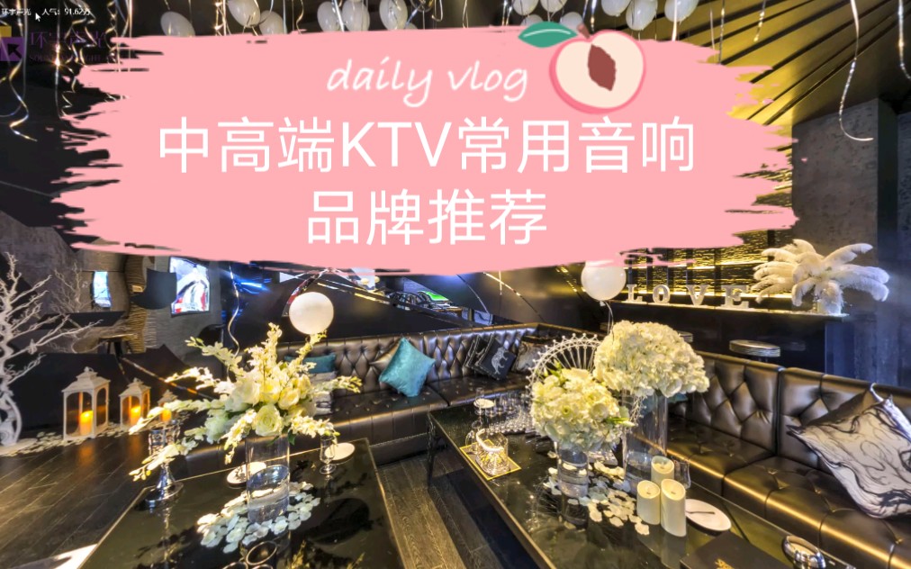 [图]中高端KTV常用音响品牌推荐