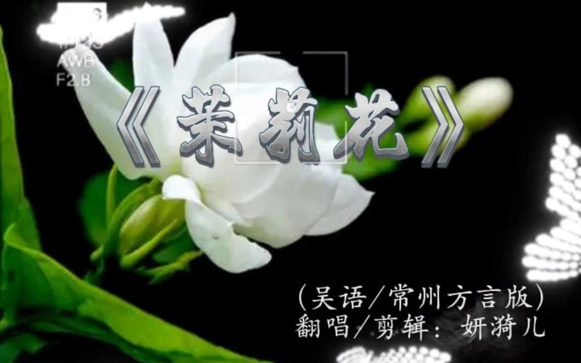 [图]【江苏民歌】茉莉花（吴语/常州话版）~茉莉花开, 雪也白不过它