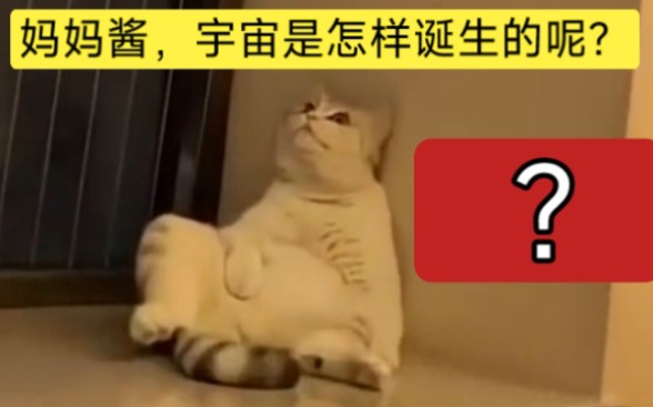 [图]就喜欢这种神金的小猫哈哈哈哈哈哈哈哈哈哈哈哈哈哈哈哈哈哈哈哈哈哈哈哈哈哈哈哈哈哈哈哈哈